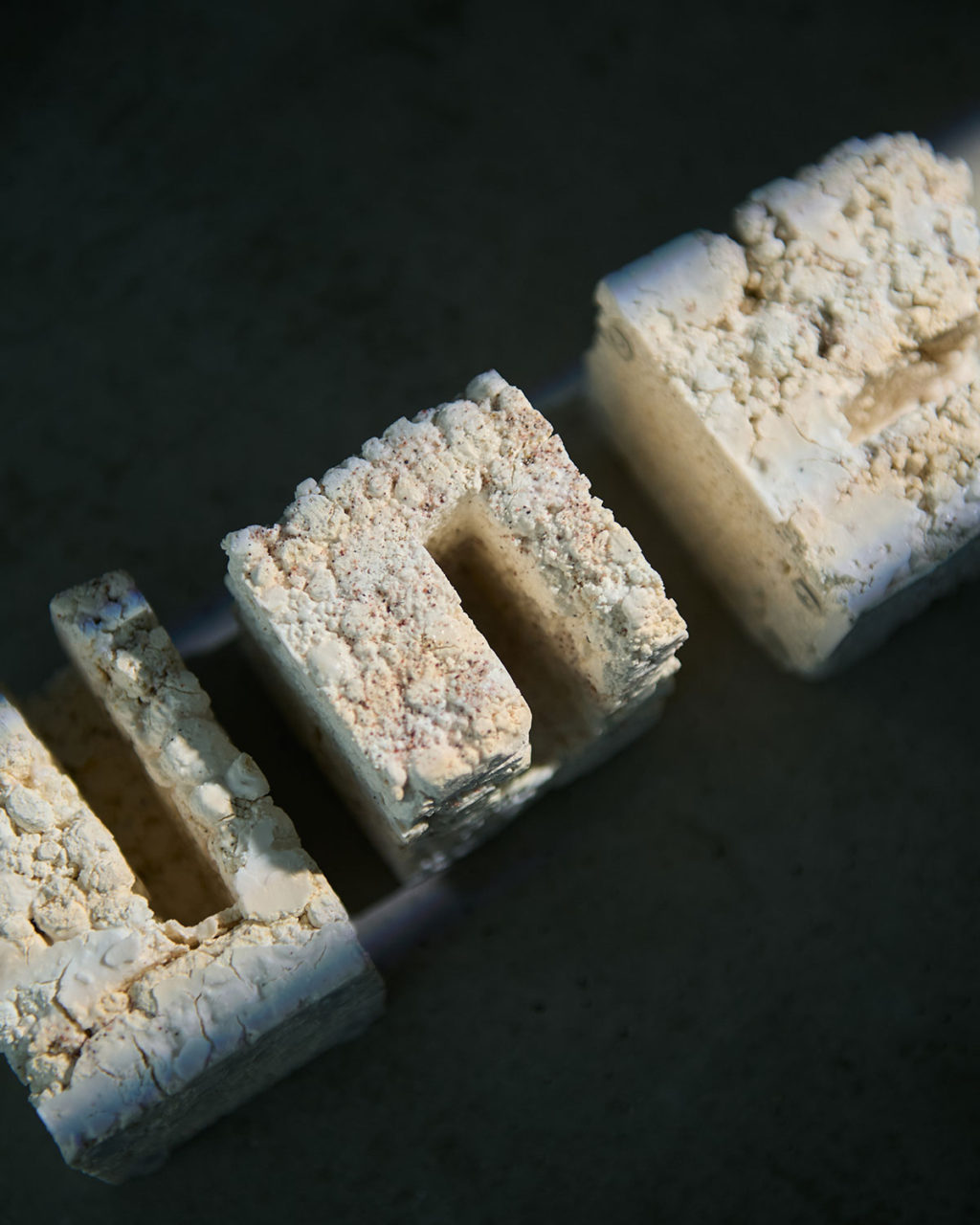 main_202411_exhibition_shirais